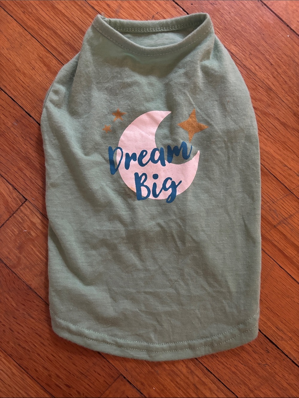 Dream Big Green cat/small dog outfit